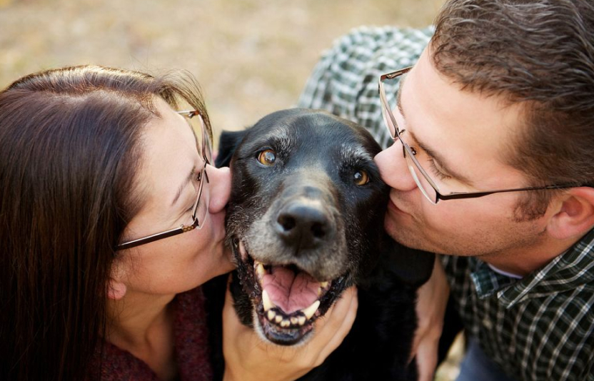 хозяин обнимает щенка